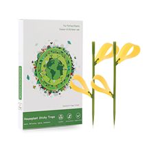 ճxTxpS˺մx֦ز廨@ճωlͻ