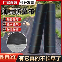 �Ӻ���ݲ��r�ù��@������ݵ�Ĥ͸��͸ˮ����@ˇ�ز��w�ݲ����l