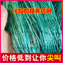 菜园围栏网网塑料山鸡养鸡网家禽网尼龙网天网鸡鸭养殖网拦防护网