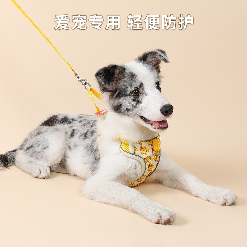 Transfronterizo nuevo pequeño pato amarillo gato Correa perro lindo pecho Correa mascota caminando gato caminando perro cuerda