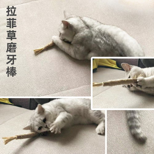 Raffia, gall fruit, catnip, wood, polygonum, cat stick, hemp rope, cat toy, cat chewing molar stick, wholesale