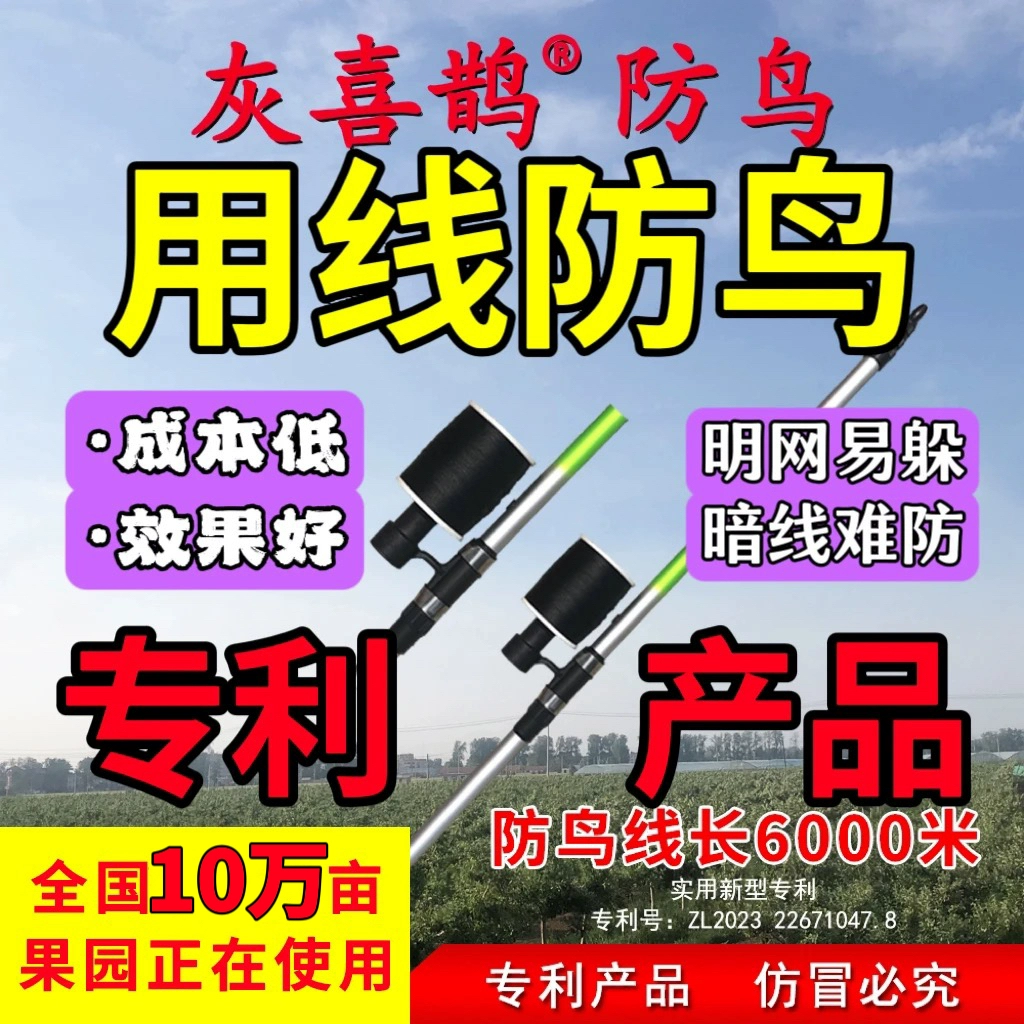 Серая сорока против птиц