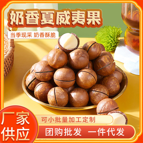 500g canned macadamia nuts, canned nuts that can be easily peeled, wholesale, home snacks for watching dramas