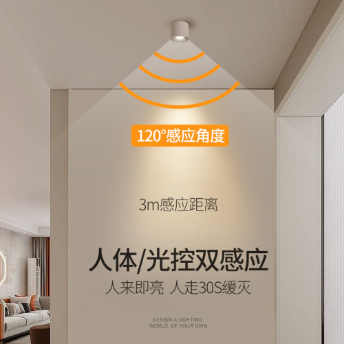 Ultra-thin, flush-mount induction light — PIR sensor hallway/corridor lamp, bathroom foyer light with narrow bezel and anti-glare design