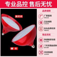 led���r���i����u���u����ʳ�ꌣ�ß��亣�r�������߲�ˮ������