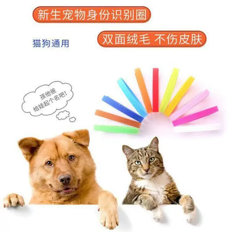 Оптовая продажа спот новорожденного питомца идентификационный круг котенка щенок цветной ошейник