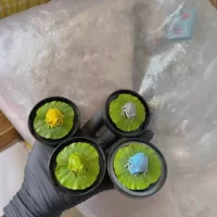 Оптовая продажа искусственных лягушек из ПВХ, прочный материал, случайный цвет, милые украшения для рабочего стола, DIY