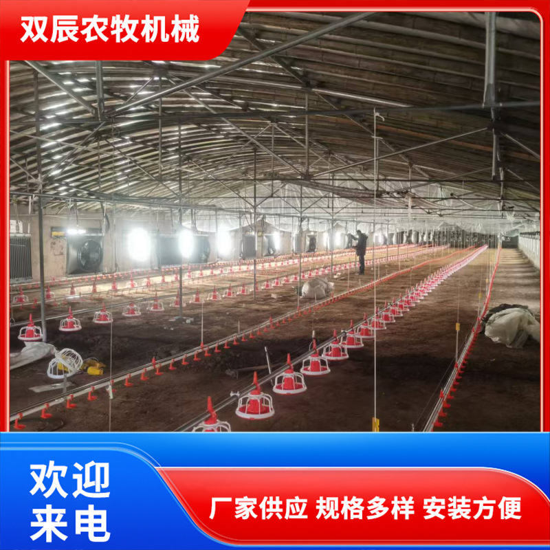 肉鸡用鸡舍水线料线 自动化饲喂供水系统 规模化养鸡配套设备