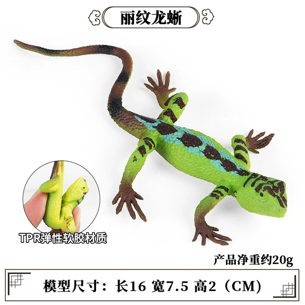 BY8028 Soft Glossal Lichelon Dragon Dragon Dragon TPR Material