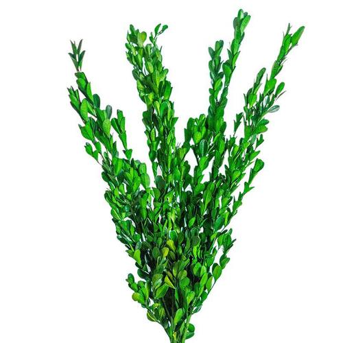 Preserved flower boxwood, DIY flower material for headdress, preserved leaves, home flower arrangement decoration