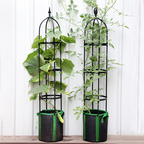 Climbing rack European-style flower stand spliced ​​gardening flower pillar outdoor flower stand plant climbing support frame