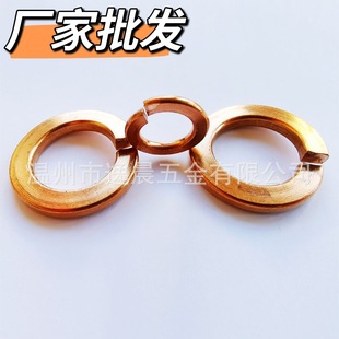 �S�N�����~���|�����~���|�t�~���|���~���|�S�~���|���~���ɉ|Ȧ