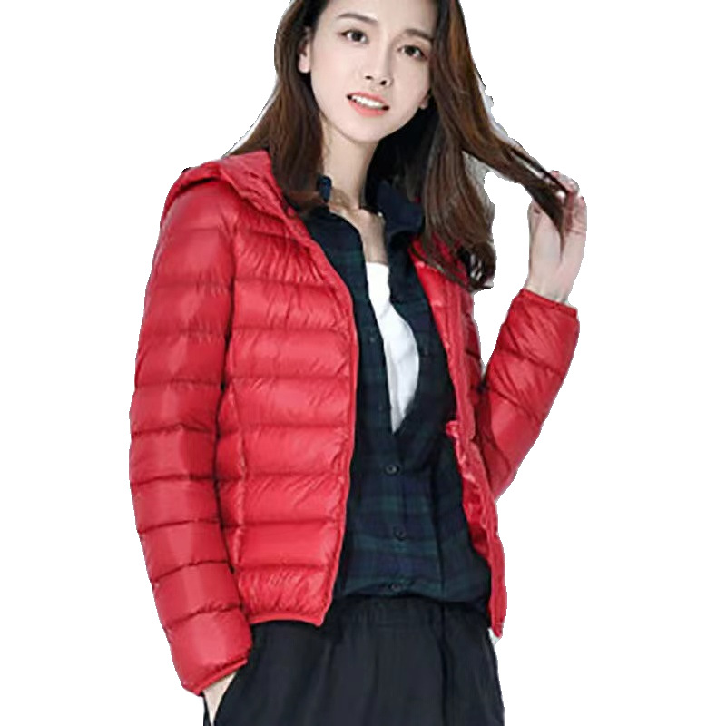 Chaqueta Corta de Algodón para Mujer Transfronteriza 2024, Estilo Coreano Ajustado, Modelo Delgado, Capa de Algodón Lluvia de Seda, con Capucha, Mayorista