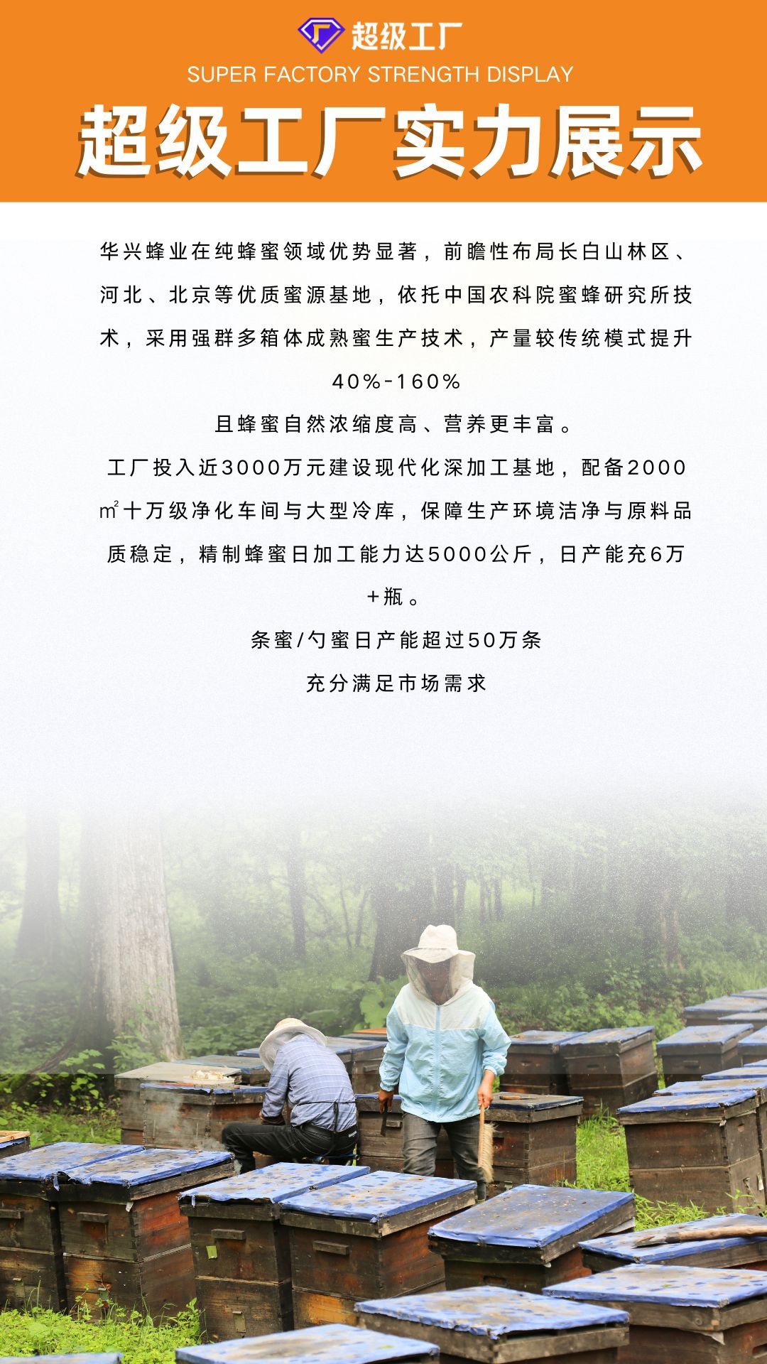 e9b4952636d0a3ea25abe6c33dcdc1