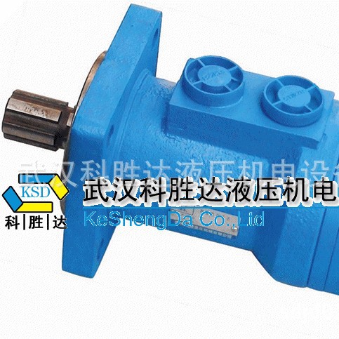 大功率流量摇摆线马达BMR-50/63/80/100/125BMR注塑调模低速马达