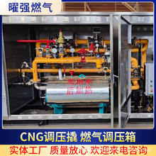 ȼ���{����Ǘ��{����CNG�߉��p����LNG�p����Դ�^�S�Ұ�������