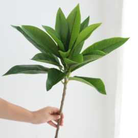 仿真鸡蛋花树假树叶园林造景插花装饰鸡蛋花枯树嫁接树枝绿色叶子