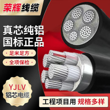 電纜 國標YJLV/YJLV22 4+1 耐高溫 防腐蝕 重量輕 電力電纜批發