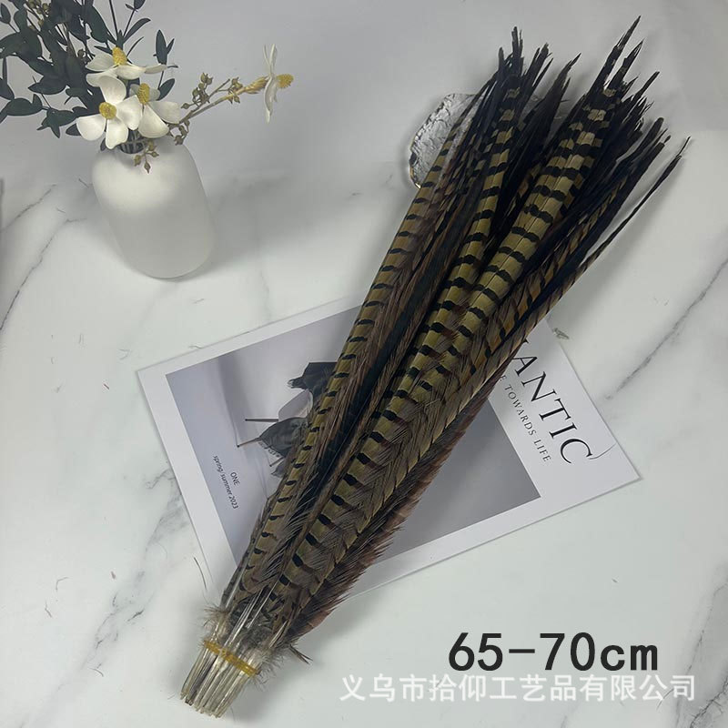 Fábrica al por mayor pelo de faisán 10-90cm cola de faisán pluma de bricolaje danza plumas de faisán cola de gallina palo de gato divertido image 21