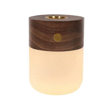 Smart physiological induction LED night light, wooden sconce for wardrobe, human sensor