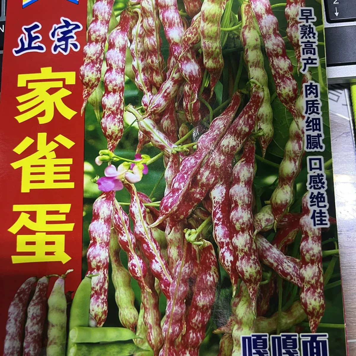 Xin Oriental Authentic Home Птица Яйцо Маленькие семена масляных бобов Барабанная фасоль Лапша Соевые бобы Семена Лапши Гага Без глютена и без дров