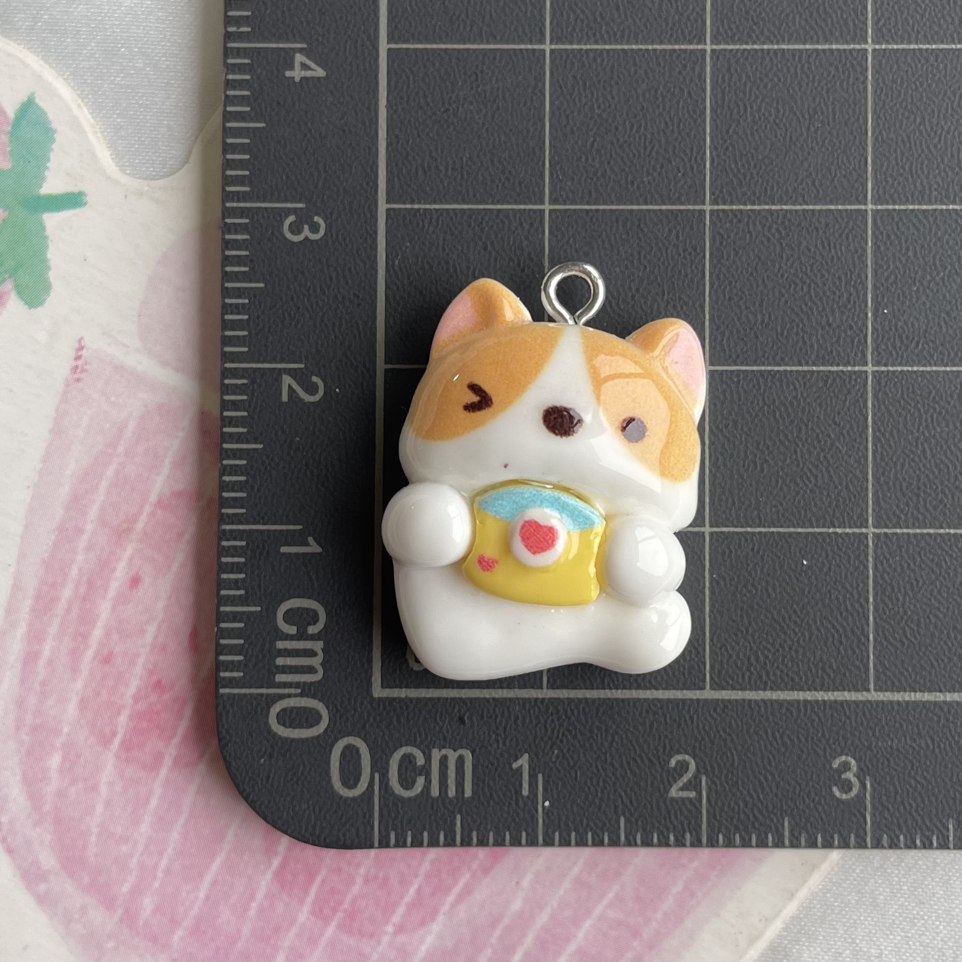 3*카메라 코기-못 포함