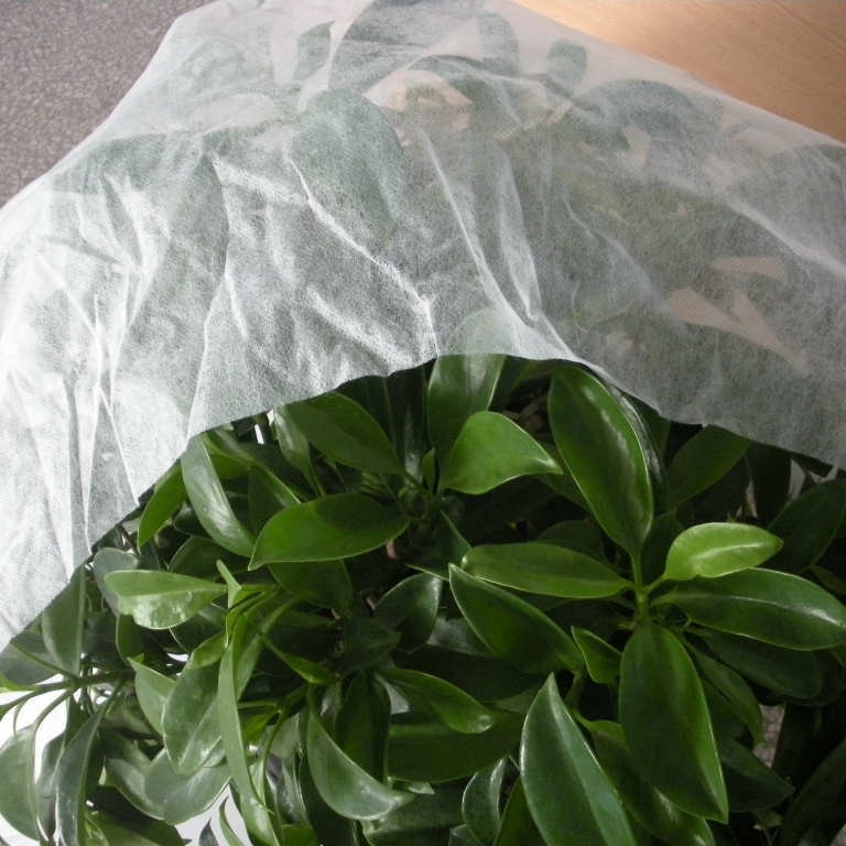 【厂家直销】PP纺粘无纺布抗uv地膜水果保护套农用无纺布