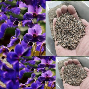 ���l���_�m�N�� ���_�m ���_�m�ٶ�������������ݱ� ȫ���ܱ�