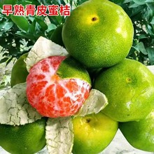 ��Ʒ�N��Ƥ�۽�������һ̖���������������޽ӟo���۽��Ә���