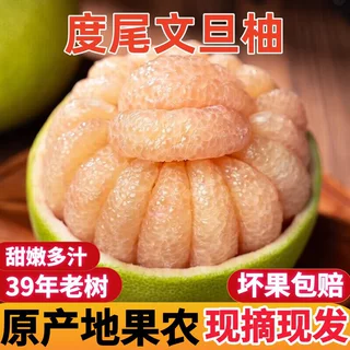 正宗福建仙游度尾文旦柚应季水果现摘现发蜜柚子（支持一件代发）