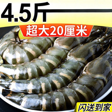 �ڻ��r�ϻ��r�r�����ˮ�a�Ź��r�����r�߹����x�r���r�ك����l