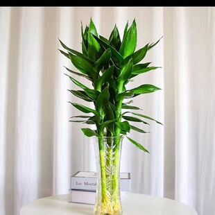 �Ĳ���4֧50-60�����ش֎���ˮ���^�����F��ˮ�B�Gֲ�����҃�