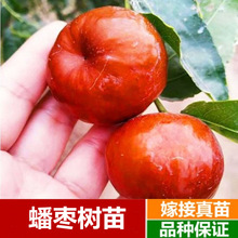 ���������󴗗�����ش����Ե��Լ޽ӹ������Ϸ������Nֲ����Y��