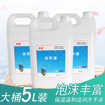 5L大桶装洗手液 浪诺家用学校酒店宾馆香氛洗手液厂家批发补充液|ms