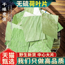 荷叶干中药材荷叶干炒制微山湖泡茶花草茶500克散装荷叶茶荷叶干