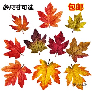���յ��ߴ����ϼ٘�t����c�Sɫ���~�~Ƭ�b��~�~�ӗ��~����̫��