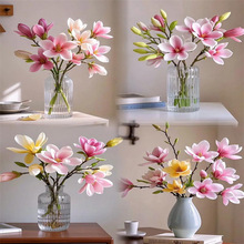 ���m���r�л�ˮ��ӭ���������m�������r��֦�l�����������m�滨��