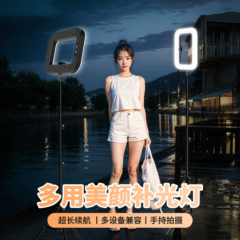 Handheld travel fill light charging, mobile phone