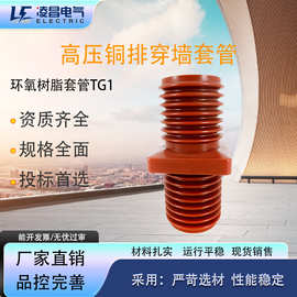 TG3穿墙套管TG1-10Q高压10KV铜牌24套管12KV环氧树脂128/182/210