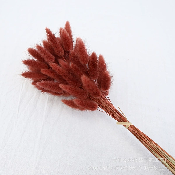 Dark brown red