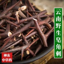 云南野生中药材皂角刺500g干皂荚刺天丁中草药泡水喝精选特级干刺