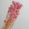 Bleached pink millet flowers (about 80 grams)