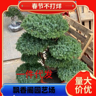 һ�����lӭ��������辰�҃����ɰصذ������辰�k����ͥԺ���^ֲ