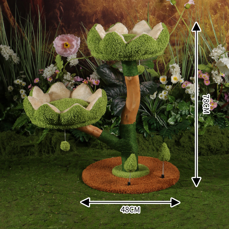 행운을 빌어요 연꽃