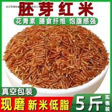 红米5斤五谷杂粮农家红米饭红大米红糙米粗粮低脂吃的红米红香米