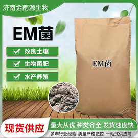 EM菌水产养殖用 调水质肥水净水鱼虾蟹益生菌高含量 EM菌