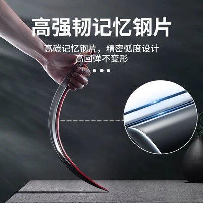 3: Rain shield