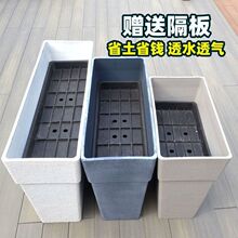 ���໨������피Ӻ��������ϴ��仨�۷Nֲ���L���ηN���B��