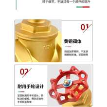 Full Copper Globe Valve DN15, 1/2", 3/4", 1", High Temperatu