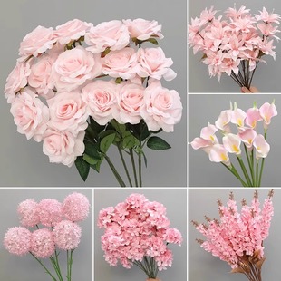 ?��ɫ��õ�廨�����c�쾰���в廨��Y�Ż��ٻ��[�O��